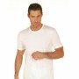 nottingham maglia intima da uomo T SHIRT girocollo a mezza manica cotone TM6102